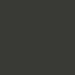 Monument Grey thumbnail