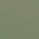 Evergreen thumbnail