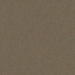 Medium Bronze Metallic thumbnail