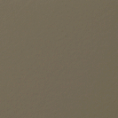 Olive thumbnail