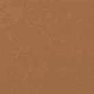 Teak thumbnail